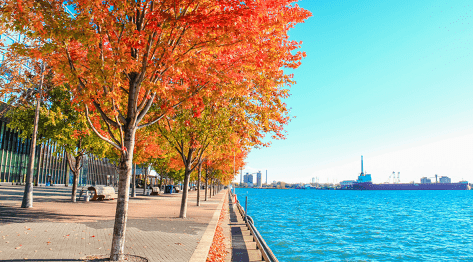 Praia de Toronto