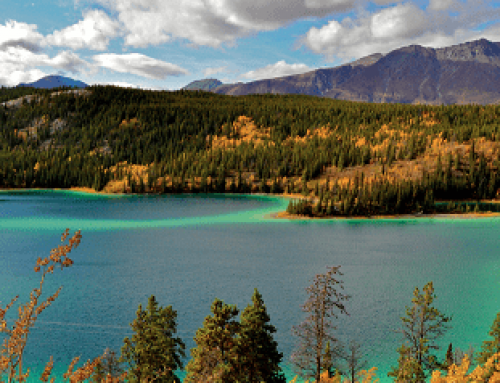 O que conhecer em Yukon no Canadá?